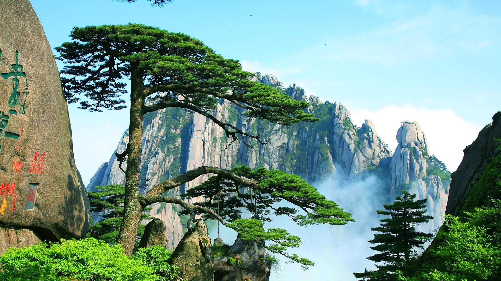 如何选择合适的开源许可证