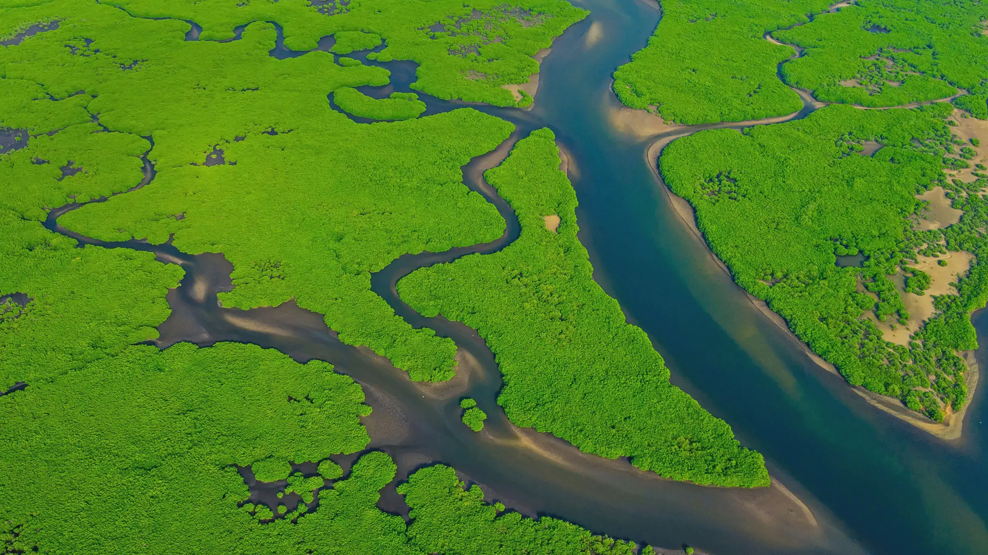 IDEA 2025.1更新-AI助手试用和第三方模型集成方案