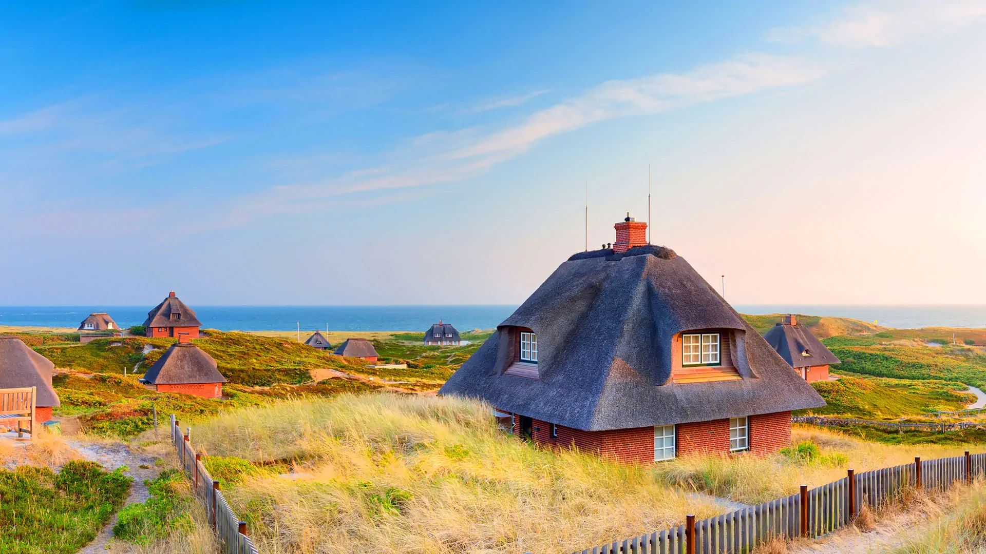 Git教程从入门到入土